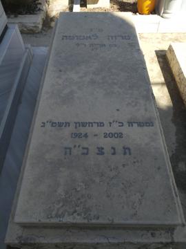 תמונת מצבה