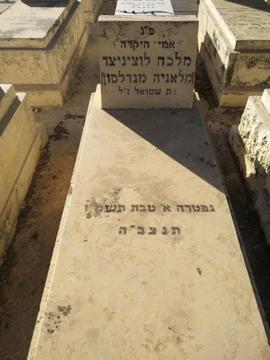 תמונת מצבה