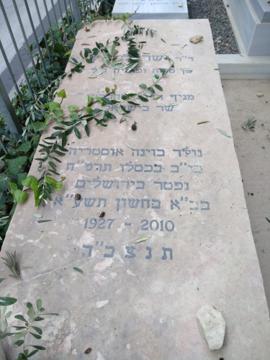 תמונת מצבה