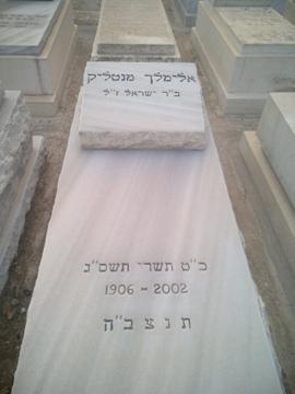 תמונת מצבה