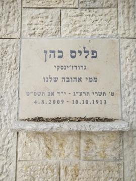 תמונת מצבה
