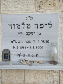 תמונת מצבה