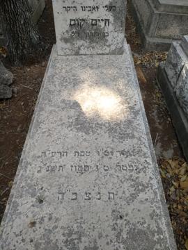 תמונת מצבה