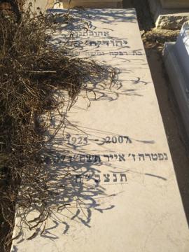 תמונת מצבה