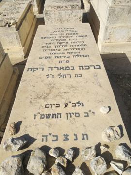 תמונת מצבה