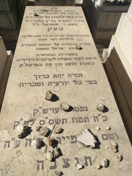 תמונת מצבה