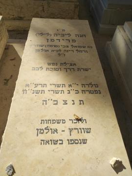 תמונת מצבה