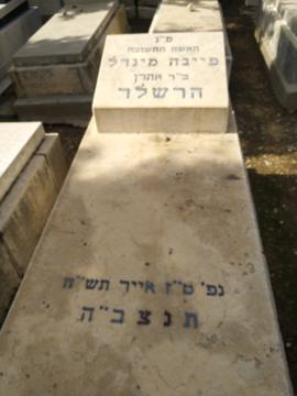תמונת מצבה