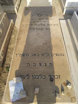 תמונת מצבה