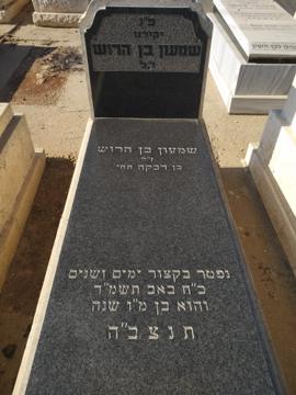תמונת מצבה