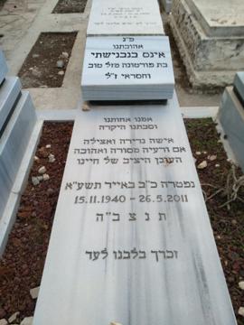 תמונת מצבה