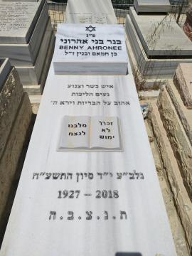 תמונת מצבה