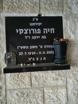 תמונת מצבה