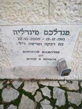 תמונת מצבה