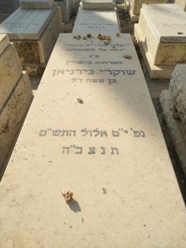 תמונת מצבה
