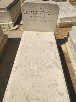 תמונת מצבה