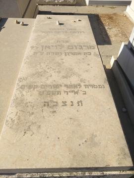 תמונת מצבה