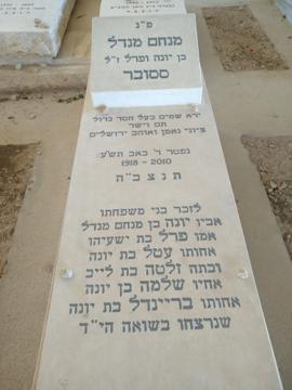 תמונת מצבה