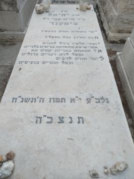 תמונת מצבה