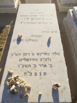 תמונת מצבה