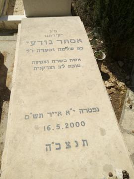 תמונת מצבה