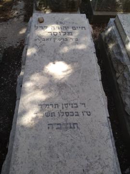 תמונת מצבה