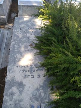 תמונת מצבה
