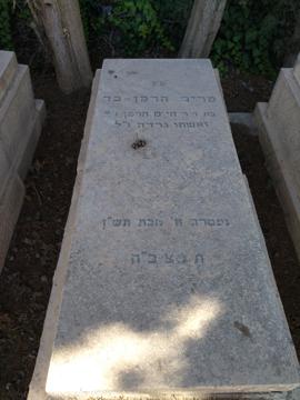תמונת מצבה