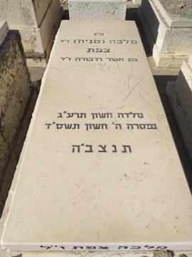 תמונת מצבה