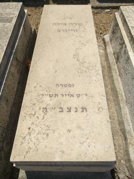 תמונת מצבה