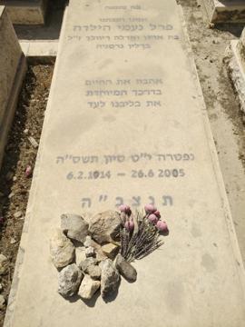 תמונת מצבה