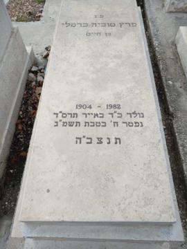 תמונת מצבה
