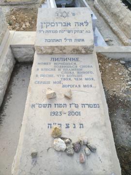 תמונת מצבה
