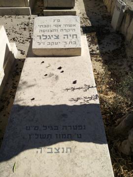 תמונת מצבה