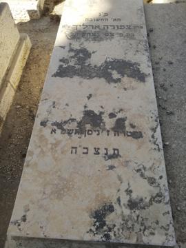 תמונת מצבה