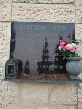 תמונת מצבה