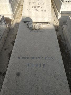 תמונת מצבה