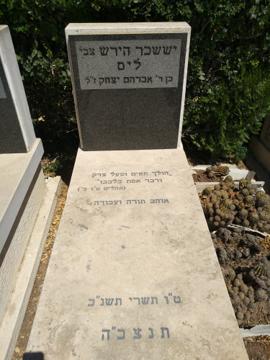 תמונת מצבה
