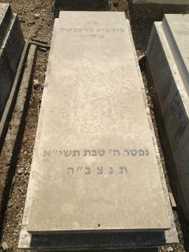תמונת מצבה