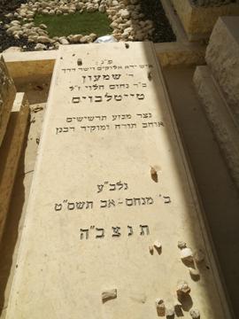 תמונת מצבה