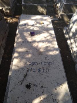 תמונת מצבה