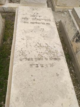 תמונת מצבה