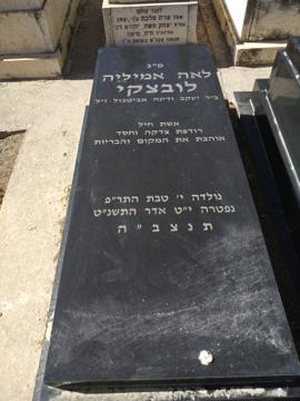 תמונת מצבה