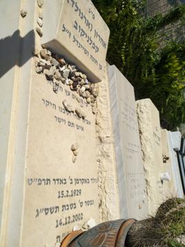 תמונת מצבה