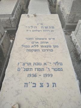 תמונת מצבה