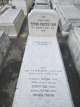 תמונת מצבה