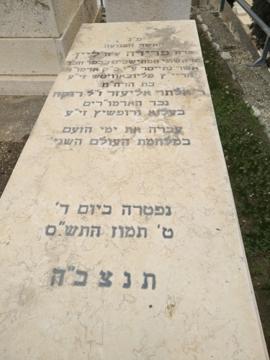 תמונת מצבה