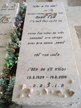תמונת מצבה