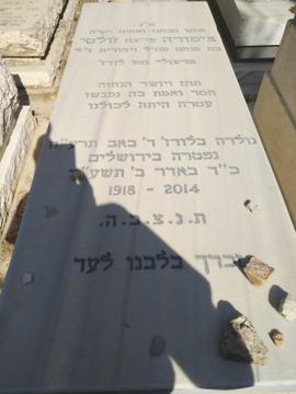 תמונת מצבה