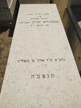 תמונת מצבה